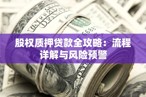 武汉股权质押贷款全攻略：流程详解与风险预警