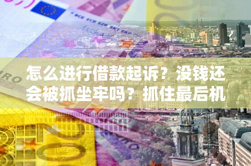 武汉怎么进行借款起诉？没钱还会被抓坐牢吗？抓住最后机会！