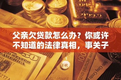 武汉父亲欠贷款怎么办？你或许不知道的法律真相，事关子女未来