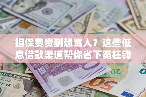 武汉担保费贵到想骂人？这些低息借款渠道帮你省下冤枉钱