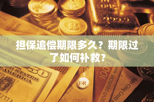 武汉担保追偿期限多久？期限过了如何补救？