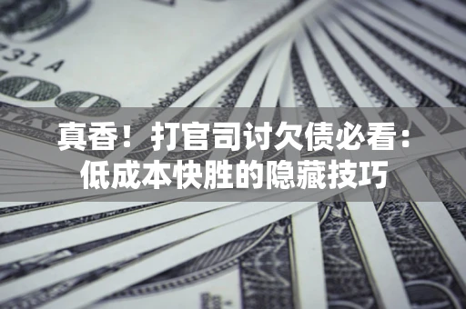 武汉真香！打官司讨欠债必看：低成本快胜的隐藏技巧
