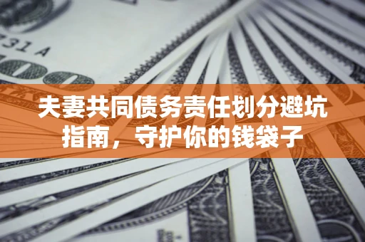 武汉夫妻共同债务责任划分避坑指南，守护你的钱袋子