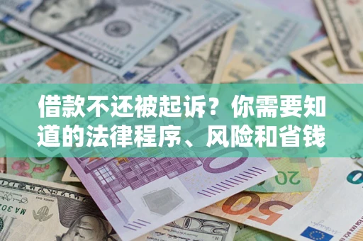 武汉借款不还被起诉？你需要知道的法律程序、风险和省钱技巧