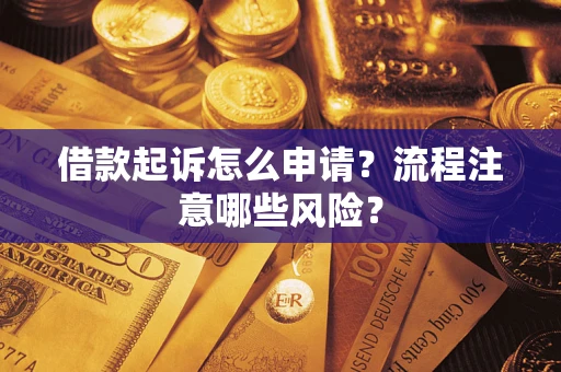 武汉借款起诉怎么申请？流程注意哪些风险？
