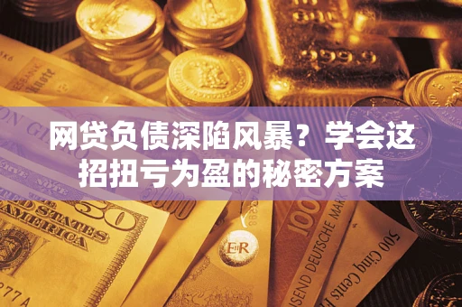 武汉网贷负债深陷风暴？学会这招扭亏为盈的秘密方案